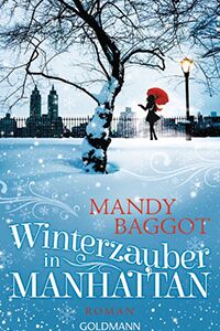 Winterzauber in Manhattan klein